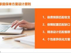 家庭保单开发之设计解决方案21页.pptx