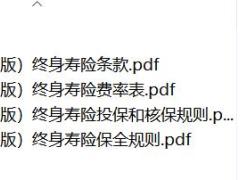 华夏传家宝2.0版终身寿险条款费率规则.rar