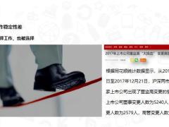 角色定位客群定位风险分析金领篇19页.pptx