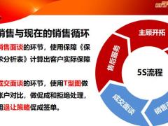 专业化销售保额销售诚信信条八项注意训练关键句背景说明30页.pptx
