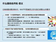 综合开拓共筑辉煌未来22页.pptx