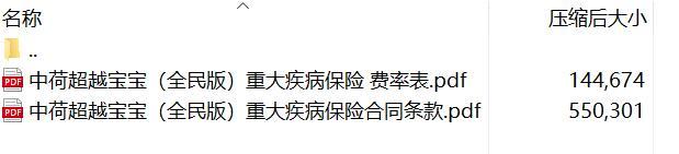中荷超越宝宝全民版重大疾病保险合同条款费率.rar