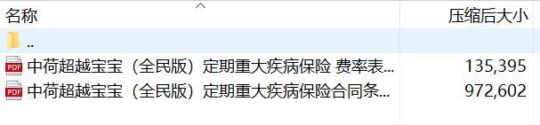 中荷超越宝宝全民版定期重大疾病保险合同条款费率.rar