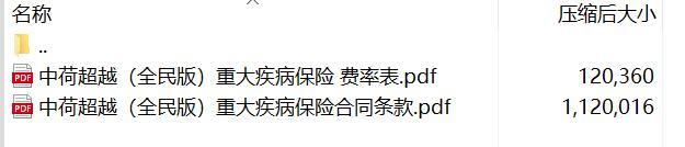中荷超越全民版重大疾病保险合同条款费率.rar