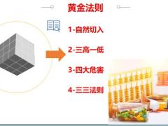 重疾险高保额销售逻辑黄金法则的说明展开23页.pptx