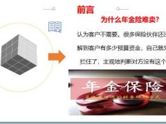 年金保险的核心功能解析17页.pptx