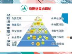 保险理念解析保险马斯洛需求理论14页.pptx