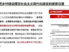 乡村振兴政策解读及两乡市场分析27页.pptx