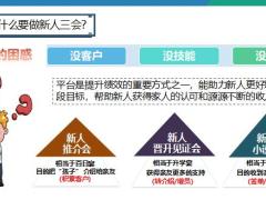 新人三会概述小说会作用流程画图讲保险演练通关含备注43页.pptx