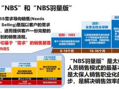 NBS销售流程概述28页.pptx