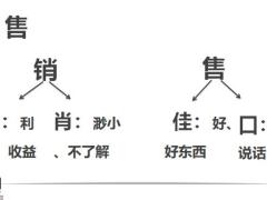 NBS销售流程概述27页.pptx