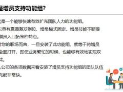 增员支持功能组的定位工作模式运作要点含备注32页.pptx