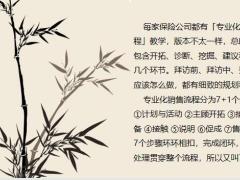 专业化销售流程速学指南20页.pptx