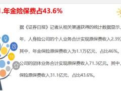 年金保险究竟有多热销18页.pptx