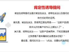 寿险销售之提问式引导操作指南17页.pptx