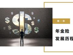 增额寿与年金险的区别16页.pptx