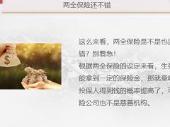 两全保险守护你的资产储蓄15页.pptx