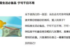 保险是家庭幸福的安全带17页.pptx