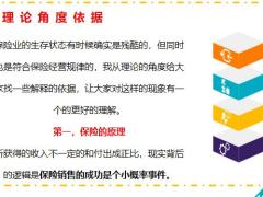 保险业的真实生存状态理论角度依据18页.pptx