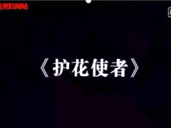 视频晨操护花使者太平洋版.rar