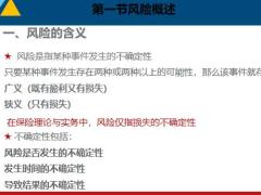 风险管理人身保险概述与合同基本原则保险法68页.pptx