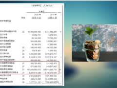 保险公司会不会倒闭买了养老年金和增额寿险怎么办20页.pptx