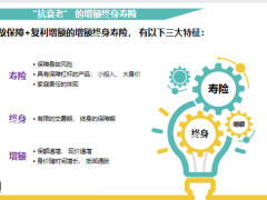 增额终身寿提高财富免疫力有效方法运作原理家庭财富免疫力21页.pptx