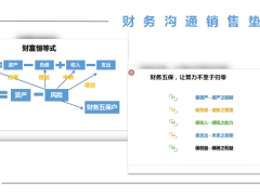 風險金字塔人口階梯百歲人生老后破產(chǎn)等銷售墊板溝通話術(shù)11頁.docx