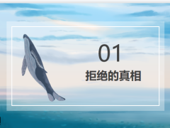 了解拒绝的真相及应对及处理拒绝销售工作案例22页.pptx