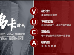 2022增额终身寿产品特性五个维度分析17页.pptx