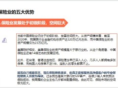 保险绩优分享五个优势理性选择保险业建立工作模式22页.pptx