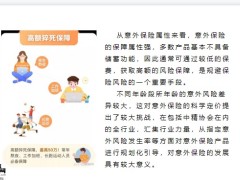 意外保险的理赔特点高杠杆的保障类产品16页.pptx