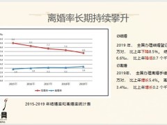 中高端客戶的婚姻風險應用工具兩類重點客戶畫像保單配置邏輯29頁.pptx