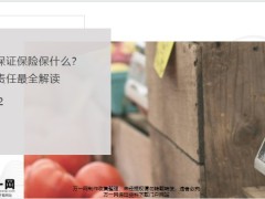 履约保证保险保什么保险责任最全解读17页.pptx