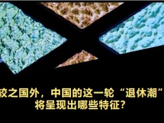 退休潮由人口結(jié)構(gòu)決定呈現(xiàn)特征養(yǎng)老金模式完善挑戰(zhàn)根本朝陽(yáng)產(chǎn)業(yè)39頁(yè).pptx