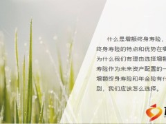 增額終身壽新時(shí)代理財(cái)?shù)男逻x擇27頁(yè).pptx