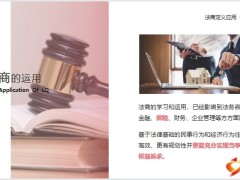 法商在壽險中的運用案例分析法商定義應(yīng)用在壽險中的運用32頁.pptx