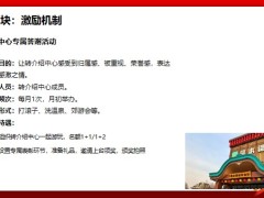 保险精英分享转介绍中心画像活动平台激励机制辅导培养成功案例17页.pptx