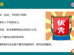 保險保全硬核攻略常見的保全服務解析22頁.pptx