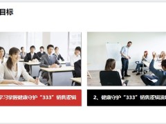 銷售面談之健康守護(hù)333介紹銷售邏輯示范演練及通關(guān)33頁.pptx