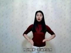 视频晨操灯火里的中国手语单人版.zip