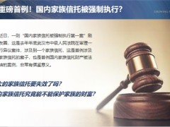 國內(nèi)家族信托強制執(zhí)行第一案的啟示看家族信托操作中給予的啟示18頁.pptx