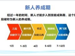 新人養(yǎng)成與輔導關注新人養(yǎng)成體系各階段面談關鍵句含備注26頁.pptx