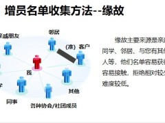 保險(xiǎn)團(tuán)隊(duì)增員名單收集增員管理含備注36頁(yè).pptx