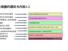 2021年善用理賠案例及工具二次開發(fā)客戶31頁.pdf