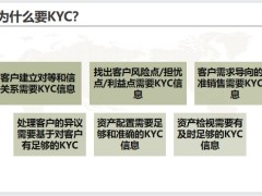 客戶KYC畫(huà)像及需求分析40頁(yè).pptx