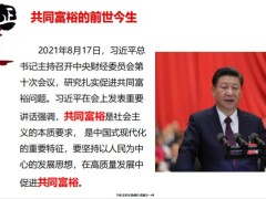 2021年共同富裕時(shí)代高凈值人群的思考47頁.pdf