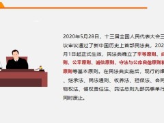 民法典中涉及保險的相關內容案例分析15頁.pptx