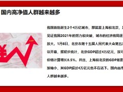 高凈值人士如何以大額保單優(yōu)化資產(chǎn)配置17頁.pptx