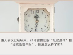 延遲退休2025年啟動(dòng)社保繳費(fèi)最低年限上調(diào)至25年解析26頁(yè).pptx